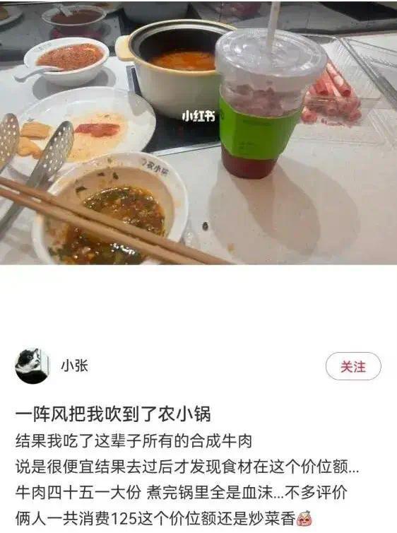 “一顿小火锅，我吃了这辈子所有的合成肉”