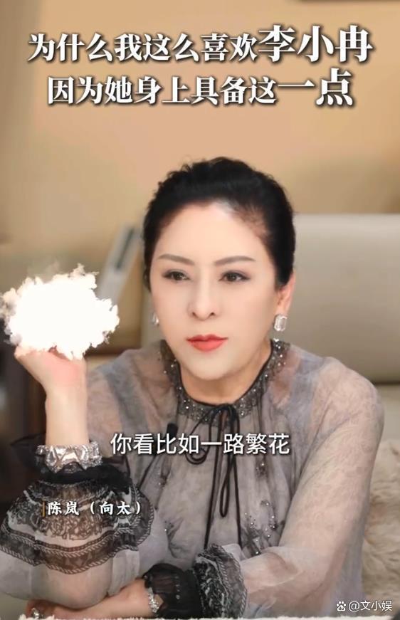 向太再回应李小冉一路繁花被骂 真实性格引发争议