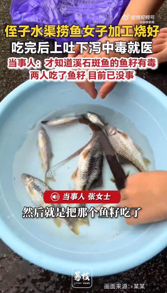 母女吃石斑鱼后上吐下泻 网友揭真相