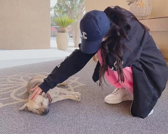 画面温馨！杨颖晒母子合照共庆中秋 爱犬名字曝光引发网友热议