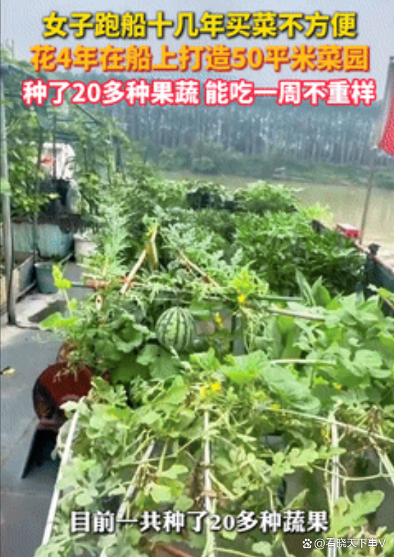 女子花4年打造50平船上菜園