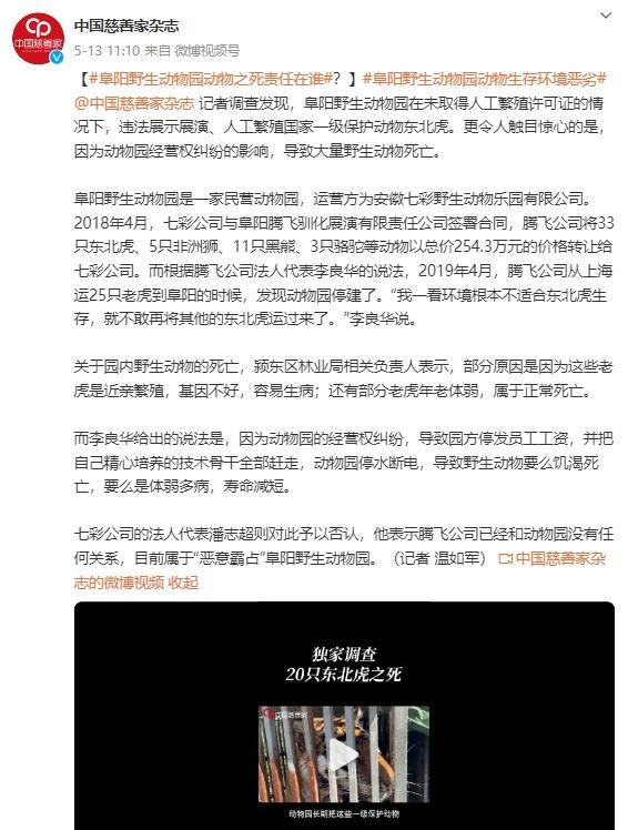 20只老虎死亡 涉事动物园被罚超千万！