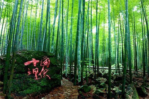 一座自帶“電影濾鏡”的城市 重慶也太出片了