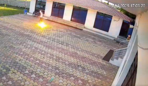 印度一男子举铁管赶猴碰高压线身亡 电力安全引关注