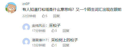 “坐氢气球打松塔飘走”工人已找到 网友：松子贵是有道理的