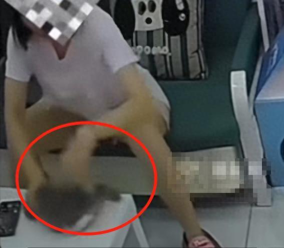 沈阳一女子在猫咖虐猫