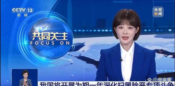 媒体：新型黑恶势力露头就打