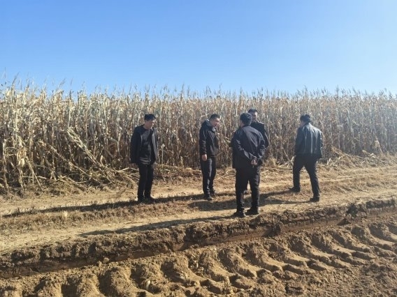 决策部署落地见效 “田间+职场”双线督导夯实农险服务根基