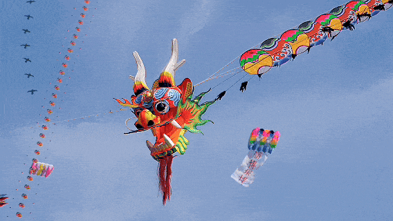 直达风筝会！潍坊开通5条公交专线