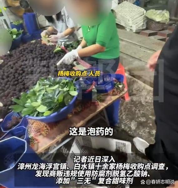 “药水杨梅”砸掉的不只是产地招牌 食品安全警钟再响