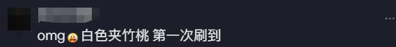 女生拍照時(shí)沾到夾竹桃中毒過敏 年年科普仍中招