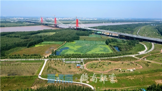济南凤凰黄河大桥位置图片