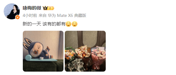 咏梅发文：新的一天该有的都有 意难平的落选