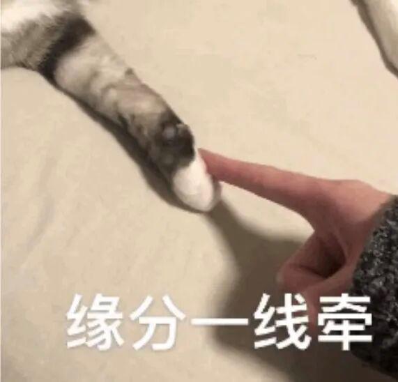 前男友偷走900克黄金 女子3年后报警 承诺赔偿未兑现