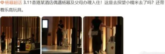 李晓峰怀孕刘恺威一家人围着她转？杨幂要争抚养权吗？粉丝操碎了心