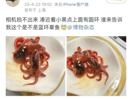 剧毒，没有解药！网友惊呼：第一次看到熟的…