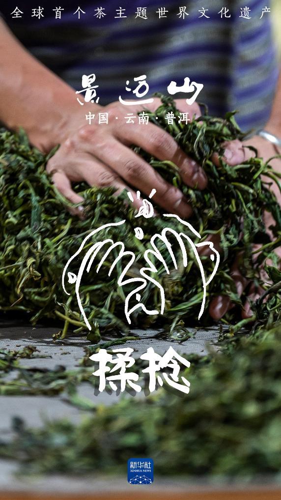 说TA是茶届“顶流”可一点也不过分！