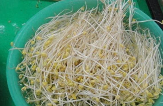 早餐懒人神器上线，儿子每天吵着吃，10分钟营养满分