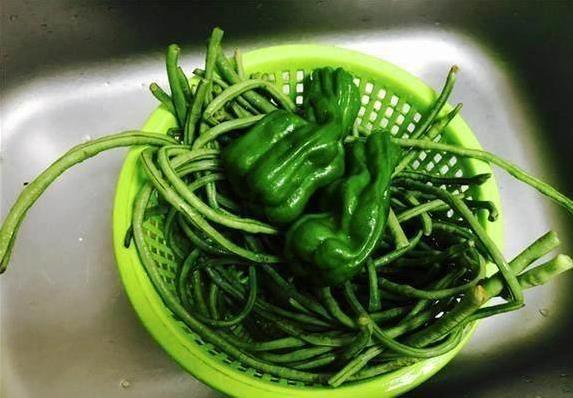 妈妈的咸菜香到邻居来蹭饭，简单3步腌制，藏着家的味道