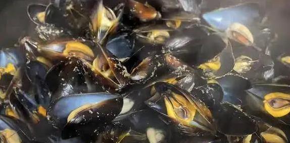 海虹10元一斤真便宜，鲜美补身效果好，你家餐桌缺了啥？