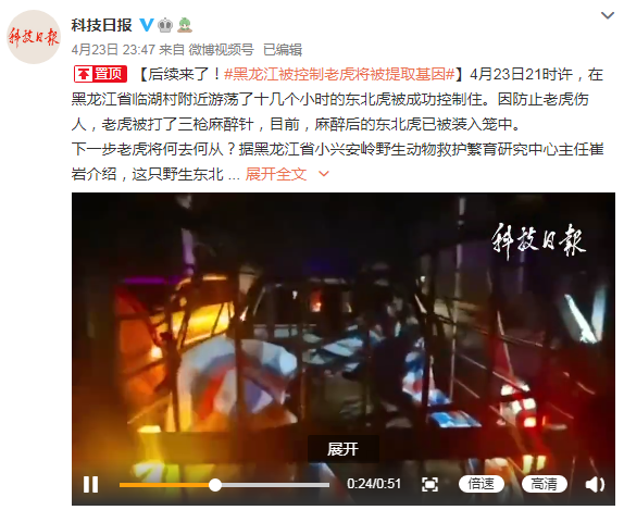 黑龙江被控制老虎将被提取基因