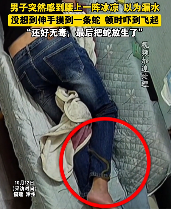 福建男子睡梦中腰上一阵冰凉，摸到“漏水”惊觉是蛇：幸好无毒，放生后心有余悸