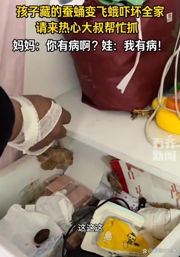 孩子因不忍心吃蚕蛹藏妈妈床头柜 惊喜变惊吓