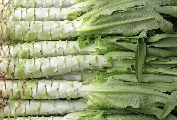 莴苣是莴笋吗？莴笋叶是油麦菜吗？区别挺大，别再弄错了，涨知识