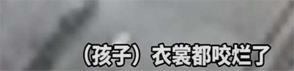 现场！9岁男孩家楼下被男子放狗扑咬 狗主人冷眼旁观引众怒