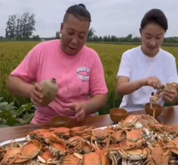 东北雨姐卖红薯粉丝被质疑成分 网红诚信危机再起