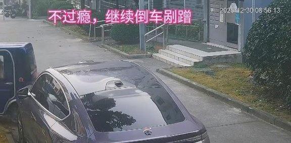残疾阿姨反复撞车 车主损失过万 弱者滤镜下的恶意行为
