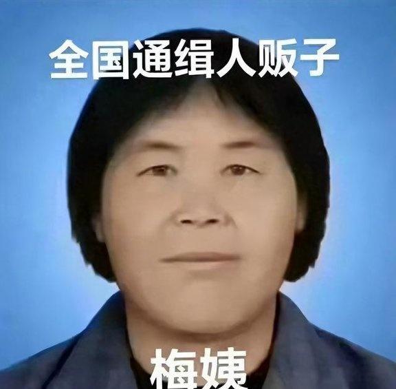 梅姨为什么能“隐身”20多年 老派躲法难追踪