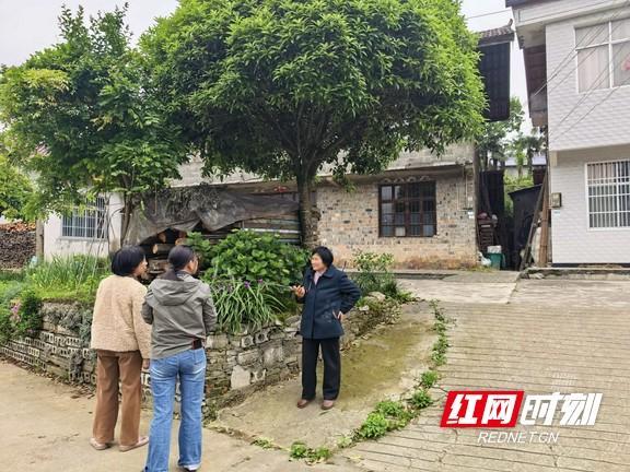 不忍心乡亲受灾 常德73岁老党员和儿子捐款2500元