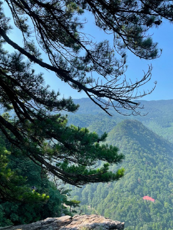只缘身在此山中——著名画家李伟写生庐山收获颇丰