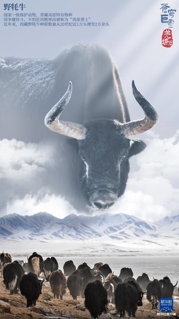 苍穹巨灵·羌塘篇