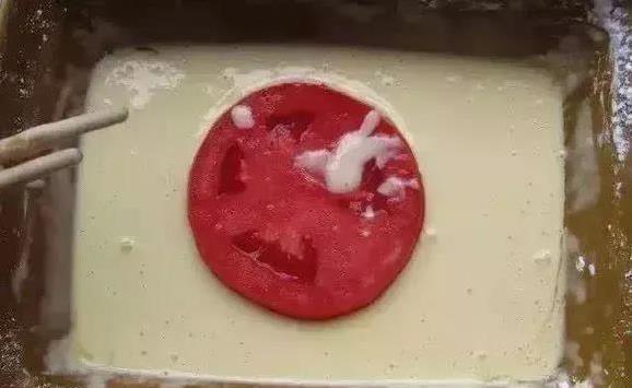 西红柿炒虾仁超下饭，香炸西红柿酥到爆，你家最爱哪一道？
