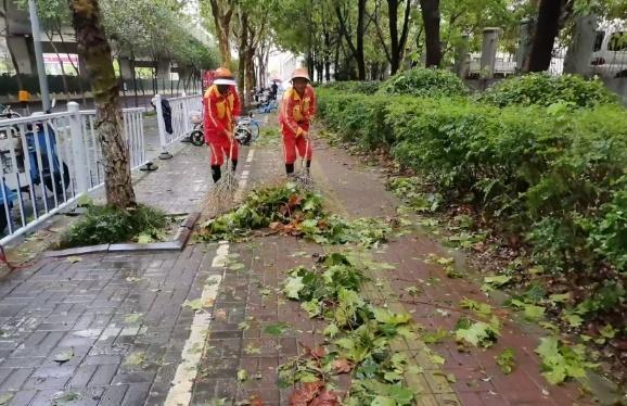 台风过境断枝满地 环卫工人连夜清理：城市颜值速还原