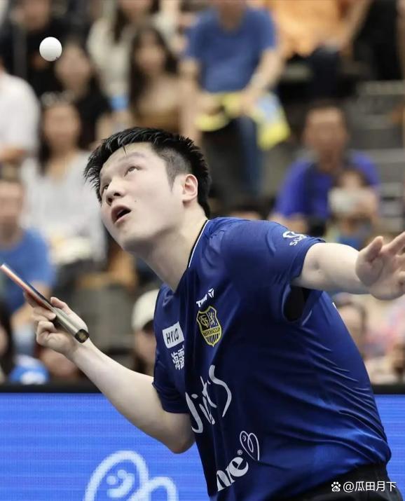 樊振东加盟德甲的故事 赛场征服记