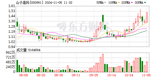 山子高科(000981.SZ)：股份回购停滞，董事长叶骥增持计划未实施