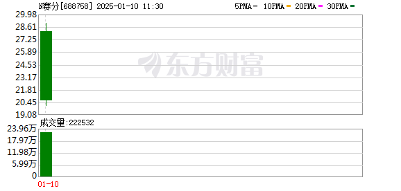 “中国版乐高”布鲁可上市首日涨近70% IP成股价“助推器”