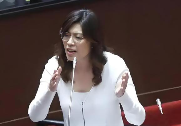 蓝营党魁之争,郑丽文开火,打击民进党、拒美讹诈,台湾才有活路