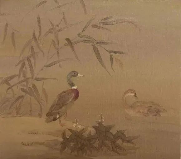春日与鸭的完美结合：为什么“春江水暖鸭先知”？