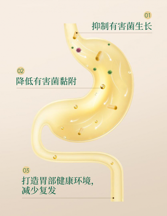 宝芝林新品上市 | 清幽益卫丸，呵护胃肠脾健康