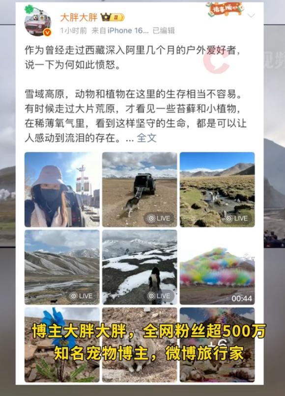 户外博主集体公开抵制始祖鸟 品牌行为背离自然理念