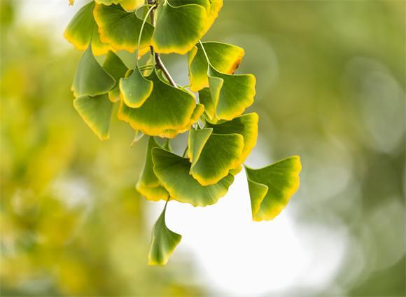 很多时候越懂松弛越有力量