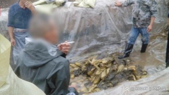 有多少人赤脚踩酸菜?员工现身说法：盐消百毒杀菌