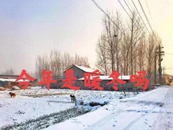 今年第一場寒潮要來？大暴雪和冷雨范圍確認