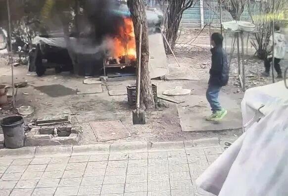 讼师解读男孩玩火烧死萨摩耶犬 烟花引燃悲催激励热议