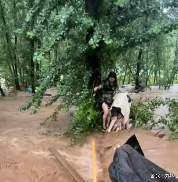 游客遭遇山洪众人抱树天亮终得救 7小时生死坚守