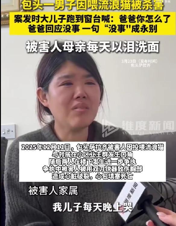 男子因喂流浪猫被捅身亡妻子发声